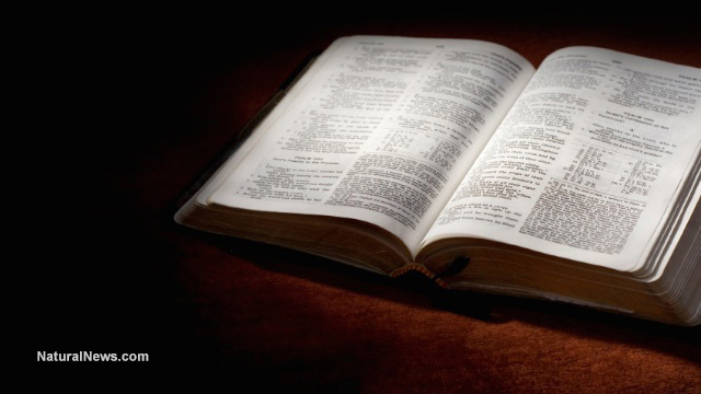 Book-Open-Study-Reading-Text-Bible