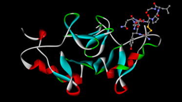 552px-Oxytocin-neurophysin